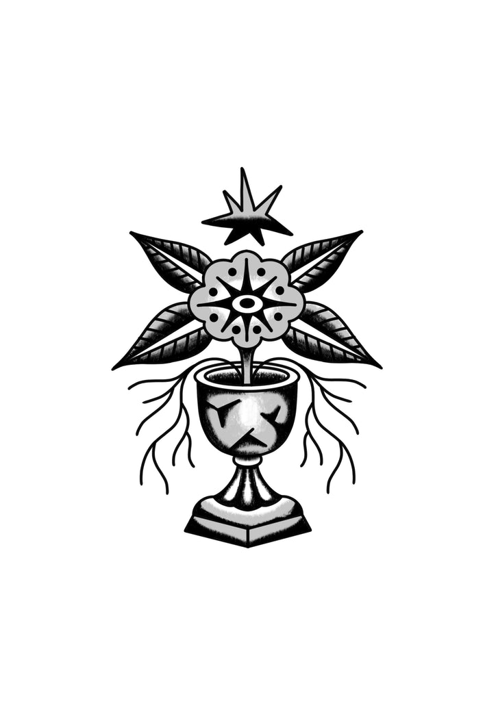 Plant in vase by Taylor