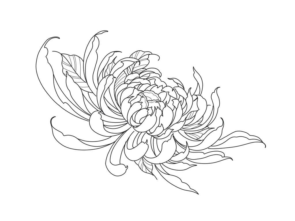 Chrysanthemum flower design by George