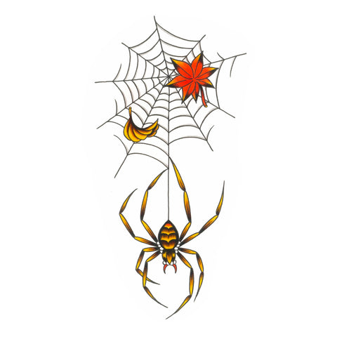 Spider and web by Ben Ford